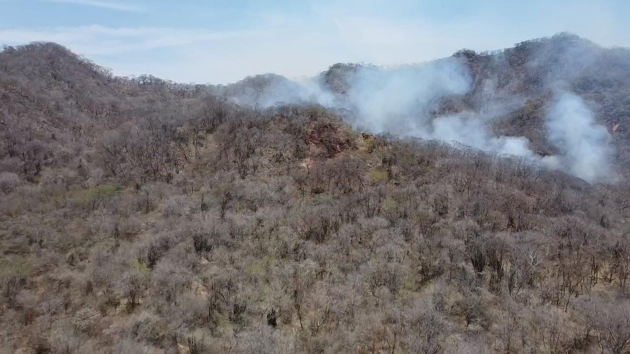 Lee más sobre el artículo Se Mantiene en Monitoreo el Incendio en Zona Serena de la Noria.