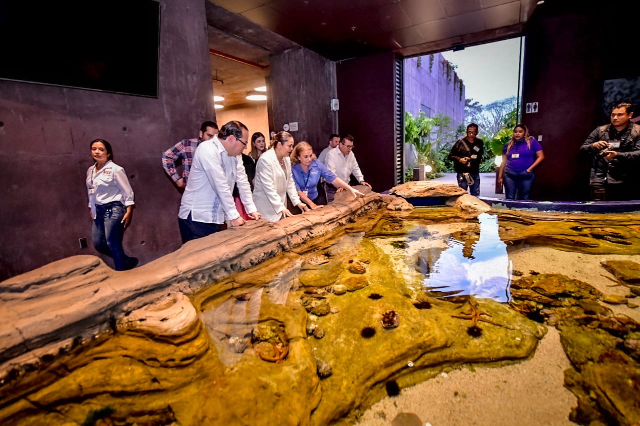 Lee más sobre el artículo Gran Acuario Festeja su Primer Aniversario.