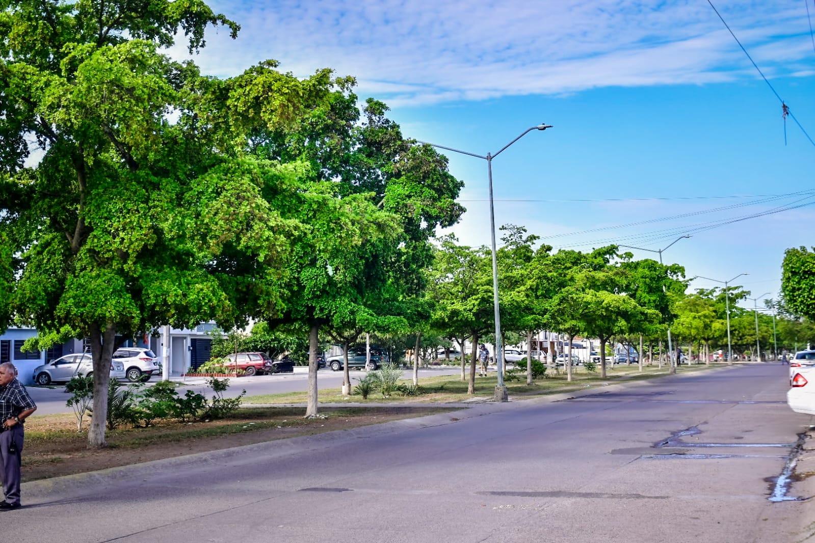 Lee más sobre el artículo Transformarán el Camellón de Avenida Venados en Infonavit Jabalíes y Portales de Mazatlán.