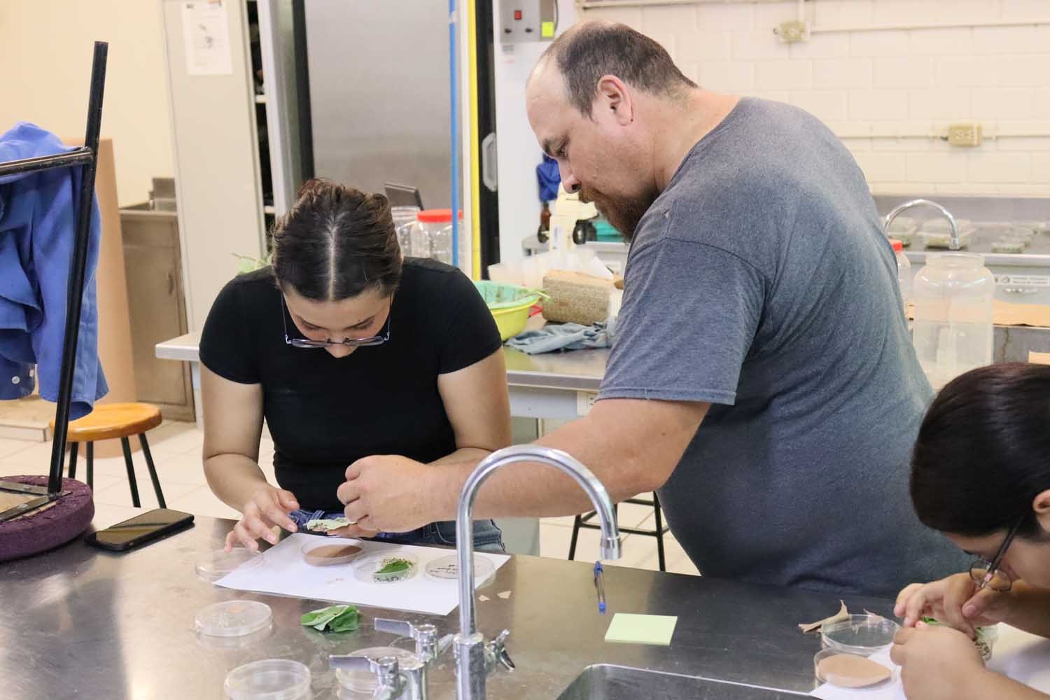 Lee más sobre el artículo Impulsa la UAS Exitoso Programa de Rescate y Conserva de Mariposas.