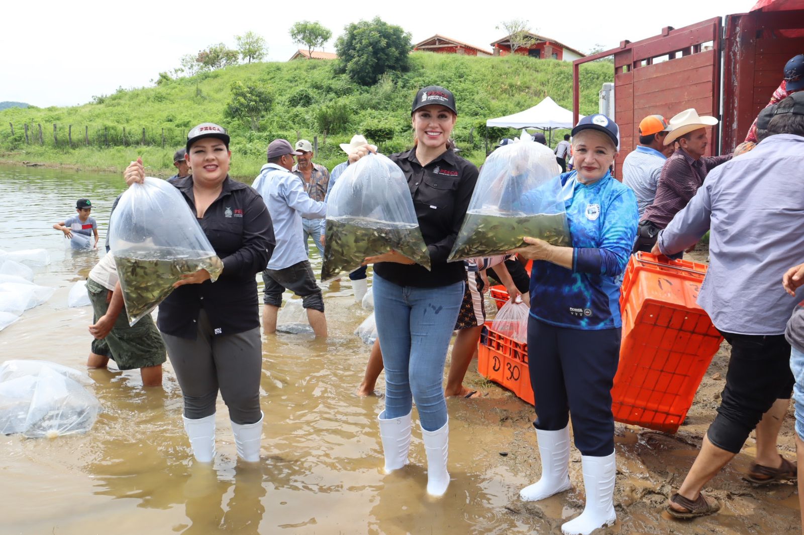 Lee más sobre el artículo Siembran 2 millones de alevines en la Presa Picachos