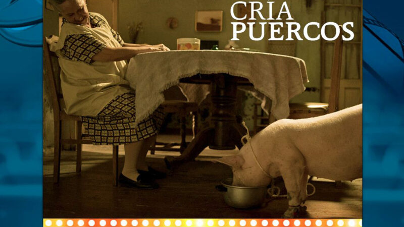 Cría puercos,cine mexicano este sábado 14 en el Cinematógrafo “Marco Lugo” del CMA