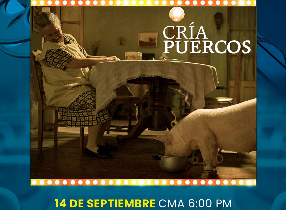 Lee más sobre el artículo Cría puercos,cine mexicano este sábado 14 en el Cinematógrafo “Marco Lugo” del CMA