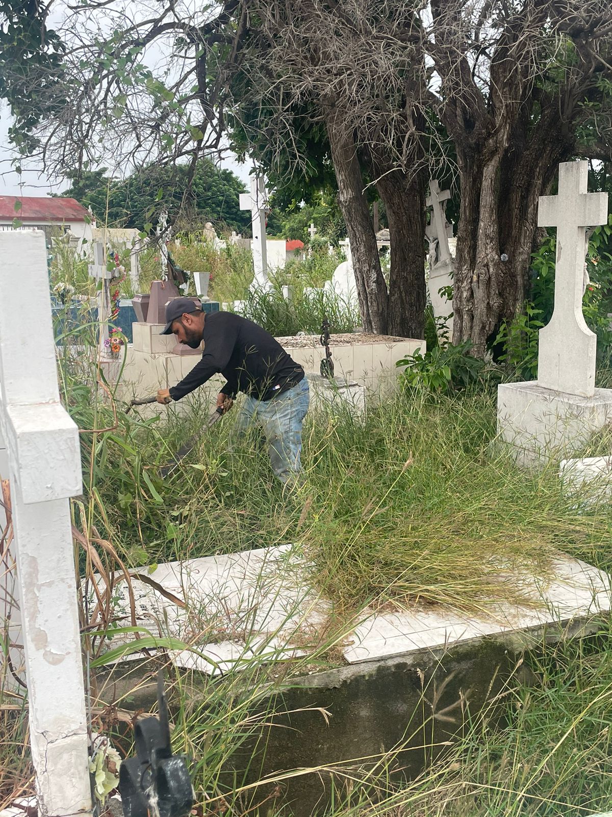 Lee más sobre el artículo Podrán “al Tiro” los panteones y caminos en Rosario