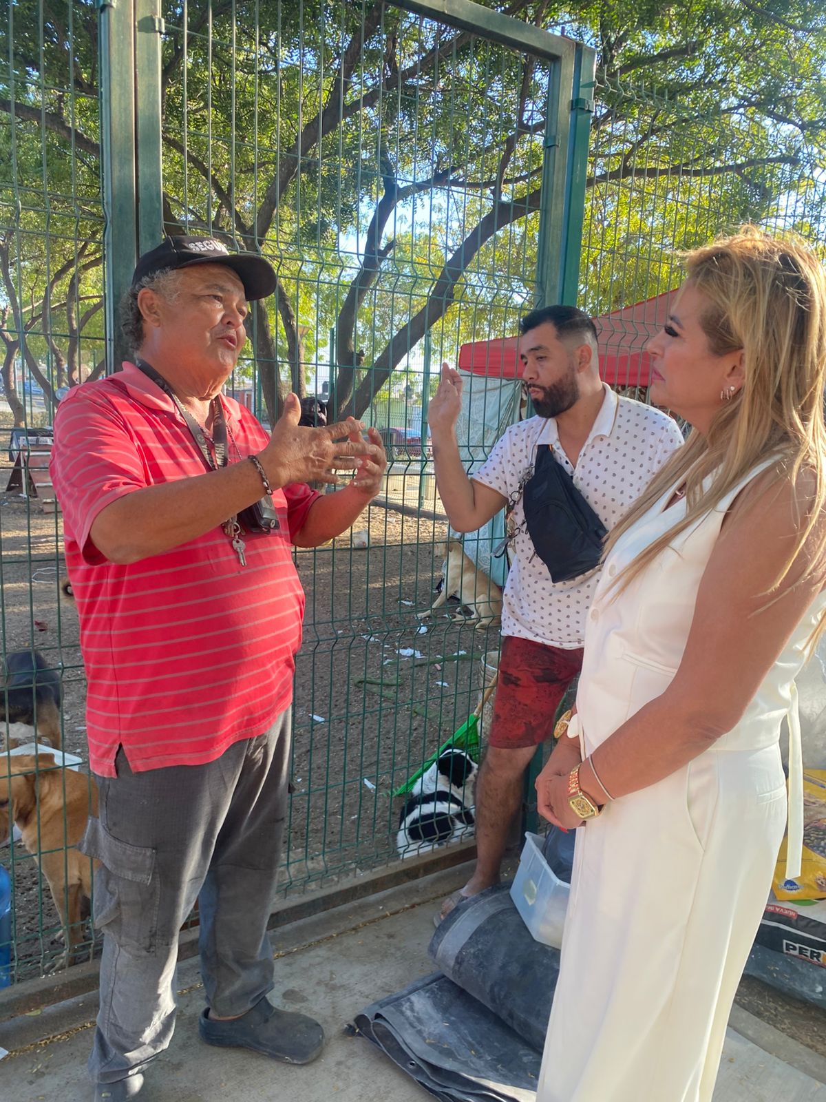 En este momento estás viendo Gestiona My-Lai Quintero apoyos para perros rescatados.