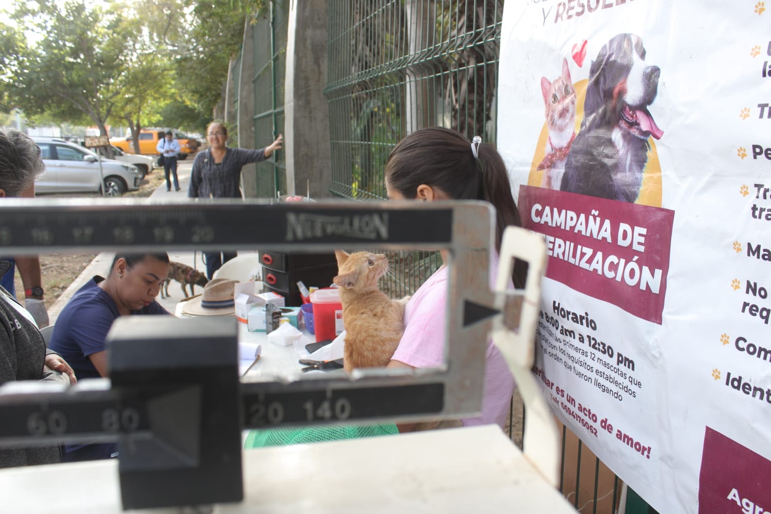 En este momento estás viendo Continúa el Camioncito Esterilizador en la Zona Rural. Llegará a El Quelite y La Noria