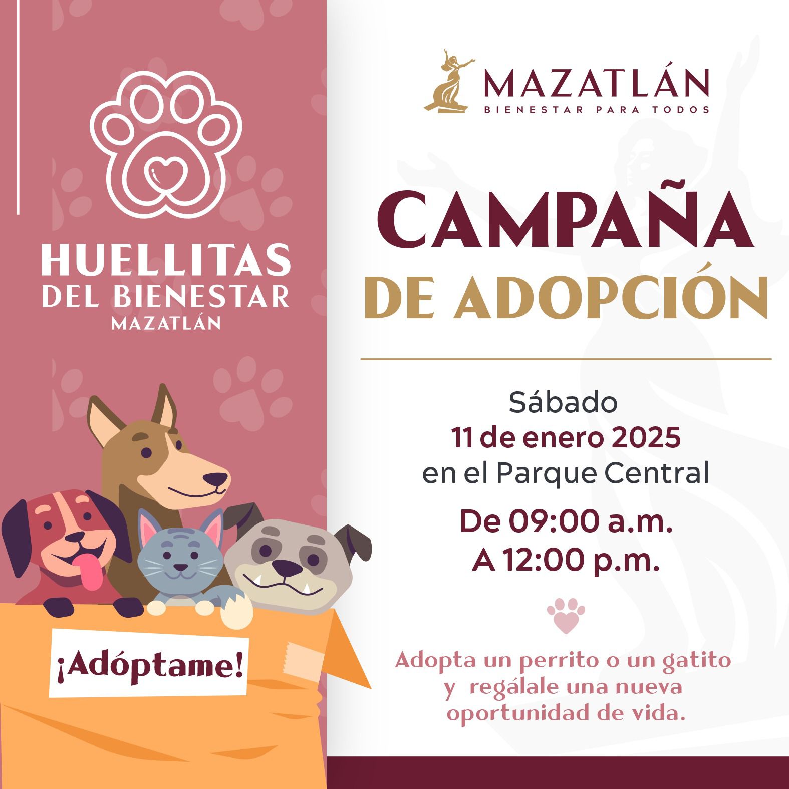 En este momento estás viendo Este Sábado se Abre de Nuevo la Jornada de Adopción de Perritos y Gatitos