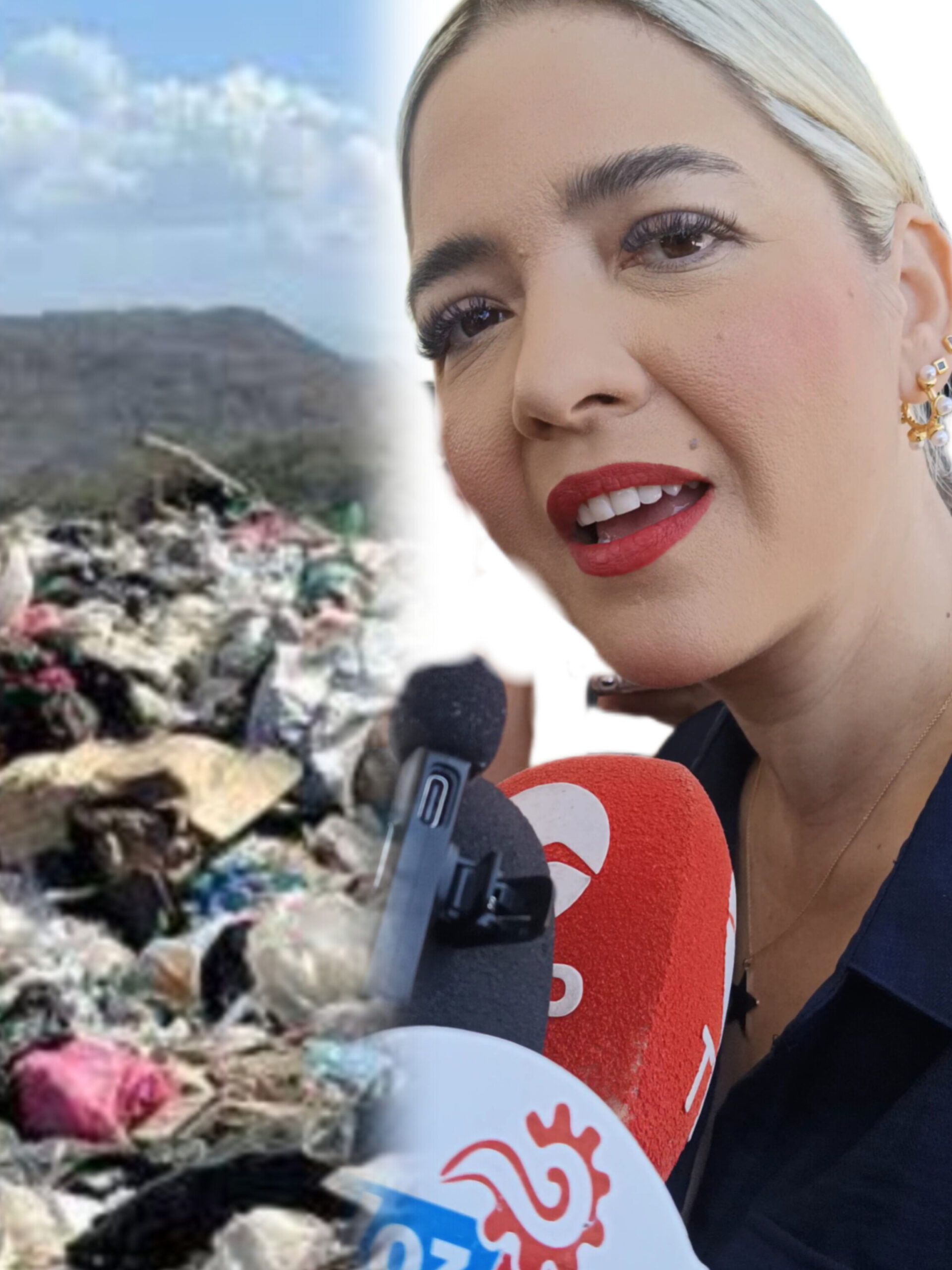 Lee más sobre el artículo 100 Millones de Pesos Costará el Nuevo Relleno Sanitario en Mazatlán