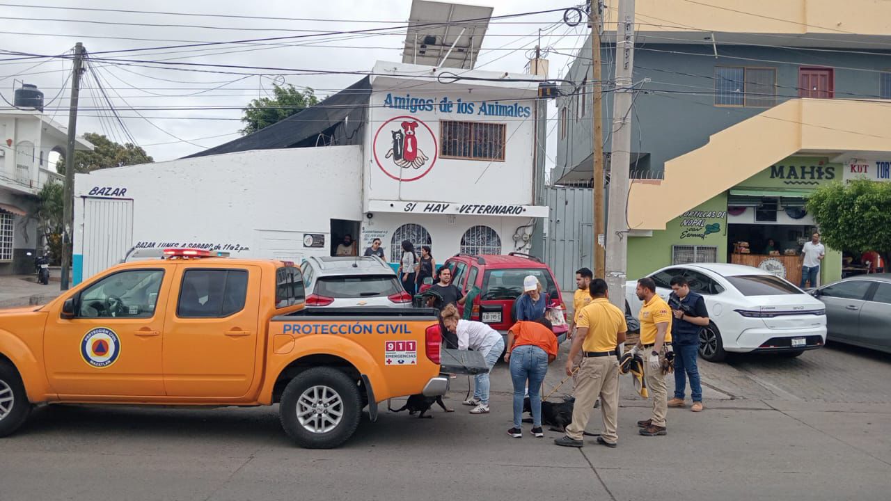 Lee más sobre el artículo Atiende My-Lai Quintero Caso de Maltrato Animal de la Colonia Venustiano Carranza