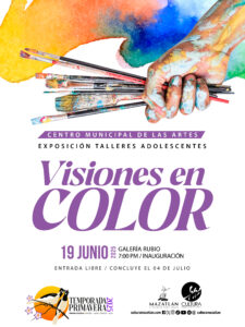 VOLANTE VISION EN COLOR