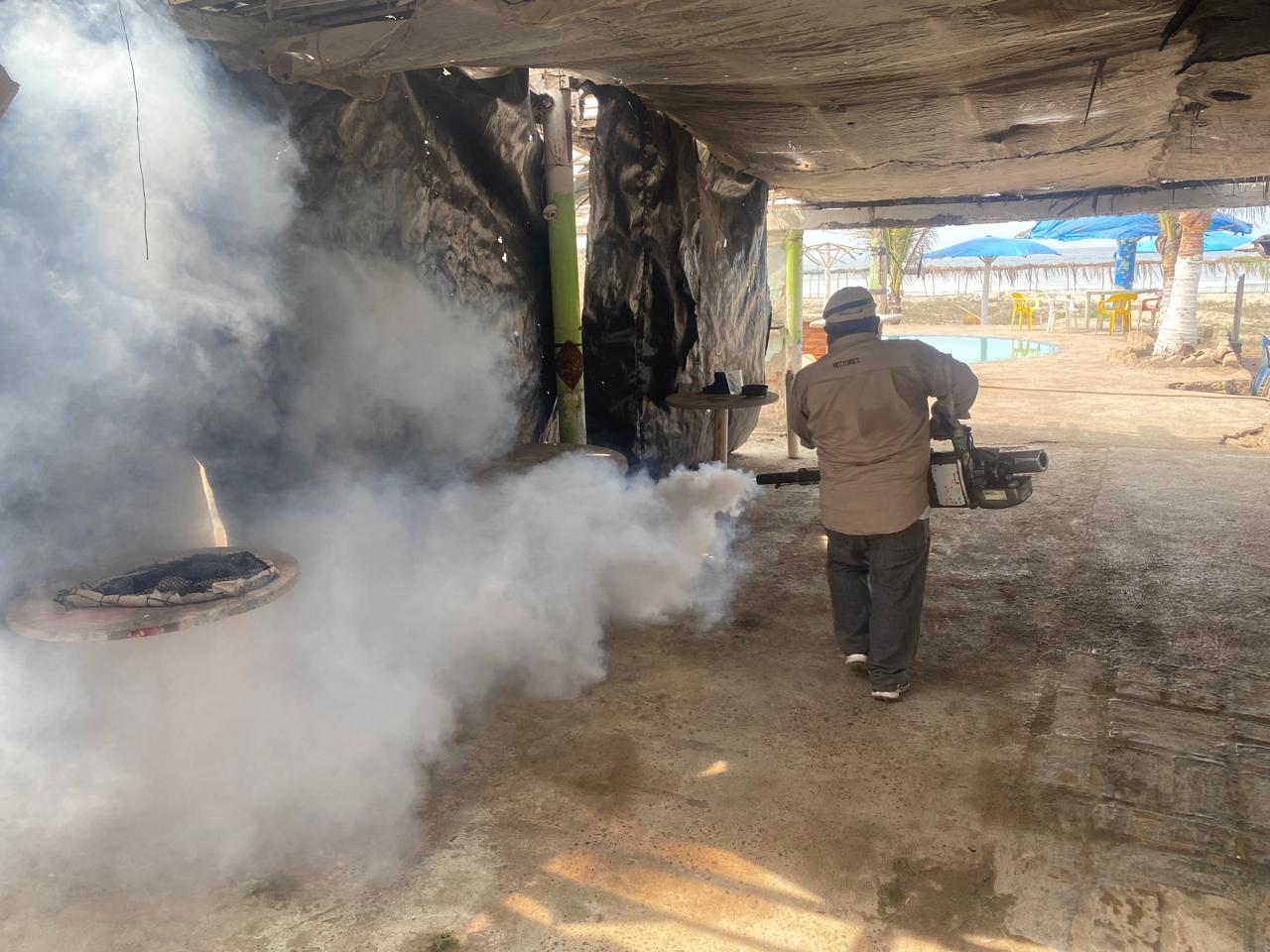 Lee más sobre el artículo Descacharrizan y Fumigan en Rosario