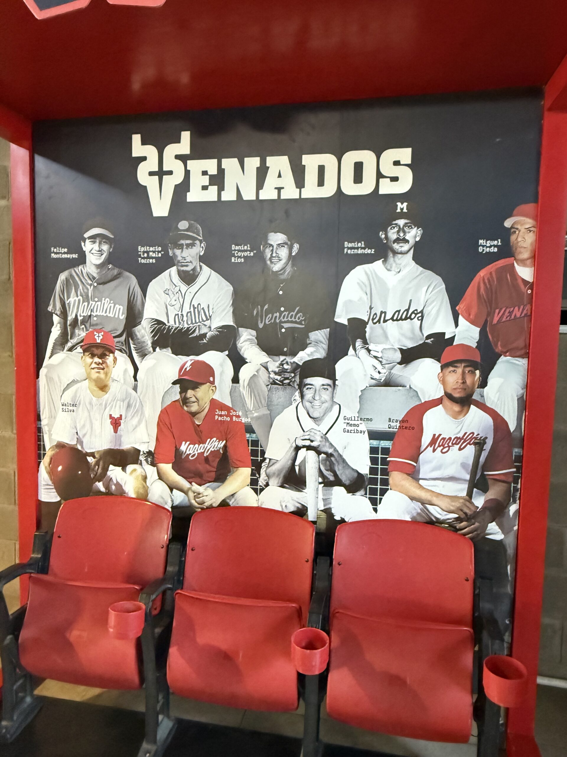 Lee más sobre el artículo El club venados de Mazatlán sigue haciendo historia en su 80 aniversario 