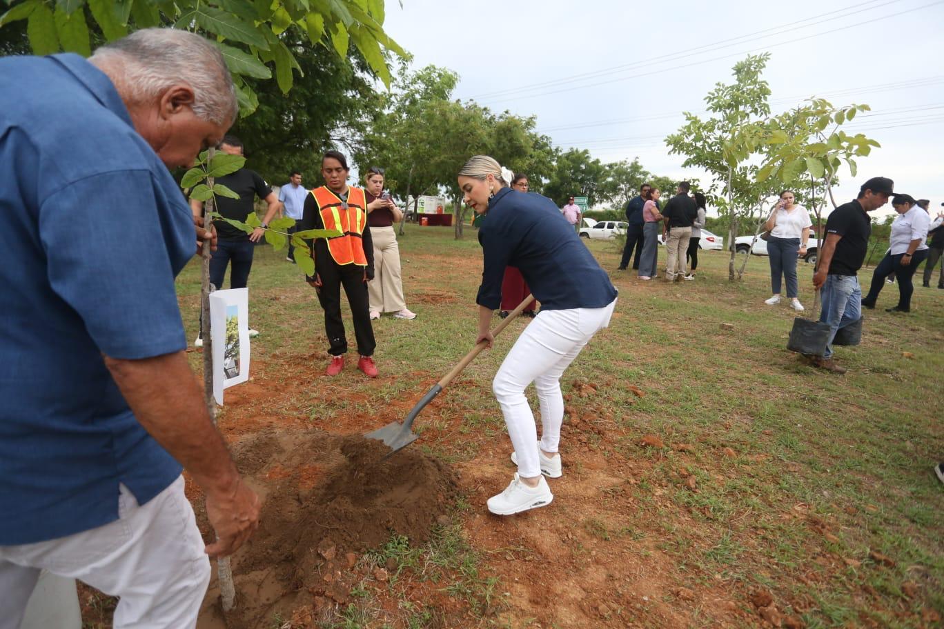 Lee más sobre el artículo Encabeza Estrella Palacios Segunda Jornada de Arborización y Embellecimiento