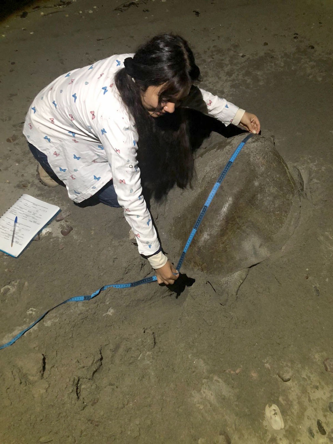 Lee más sobre el artículo Cumple 49 Años el Campo Tortuguero de la UAS en Ceuta