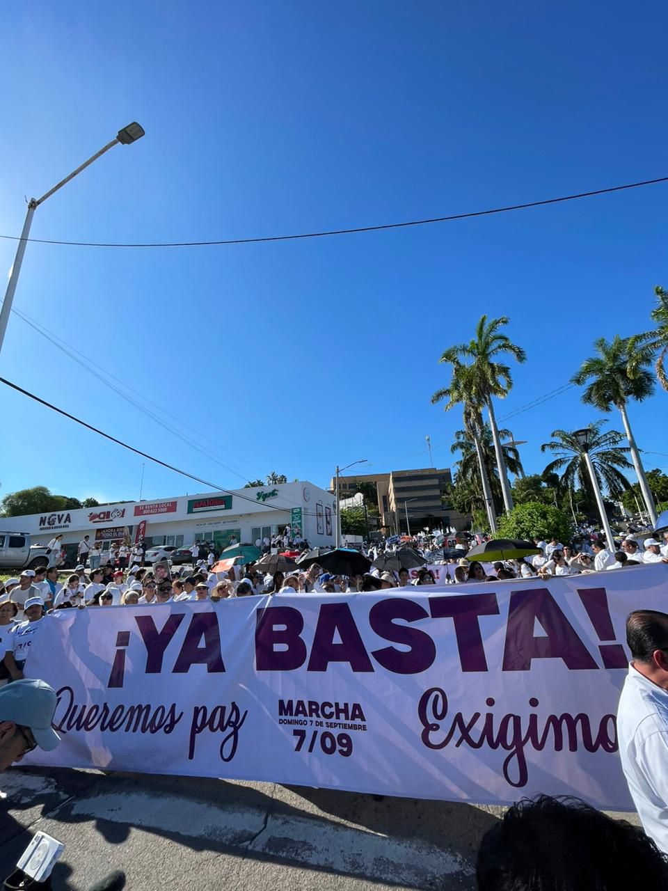 Lee más sobre el artículo Sinaloenses Dicen Basta a la Narco Guerra