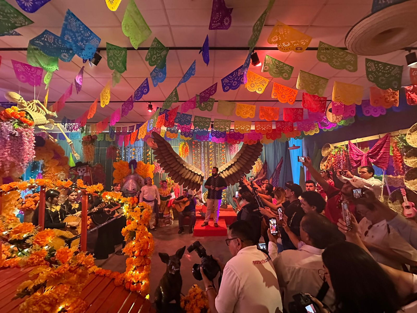 Lee más sobre el artículo Colores y Tradiciones del Gran Acuario Mazatlán