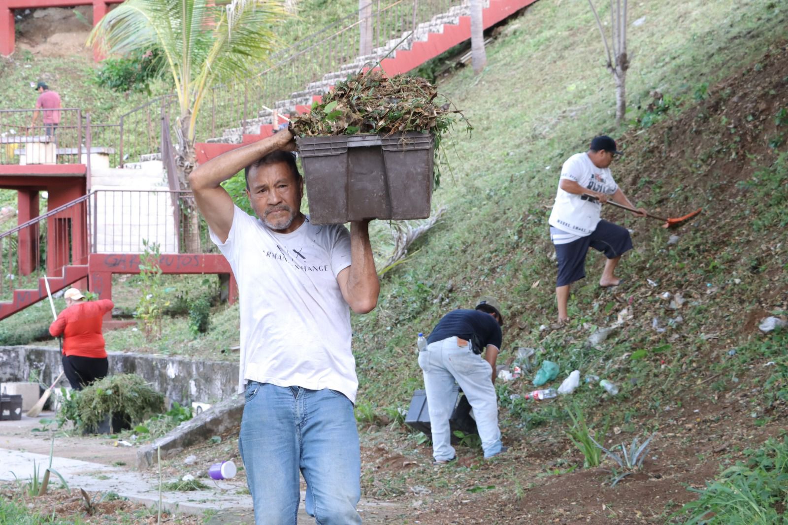 Lee más sobre el artículo Limpian la Laguna del Iguanero en Rosario