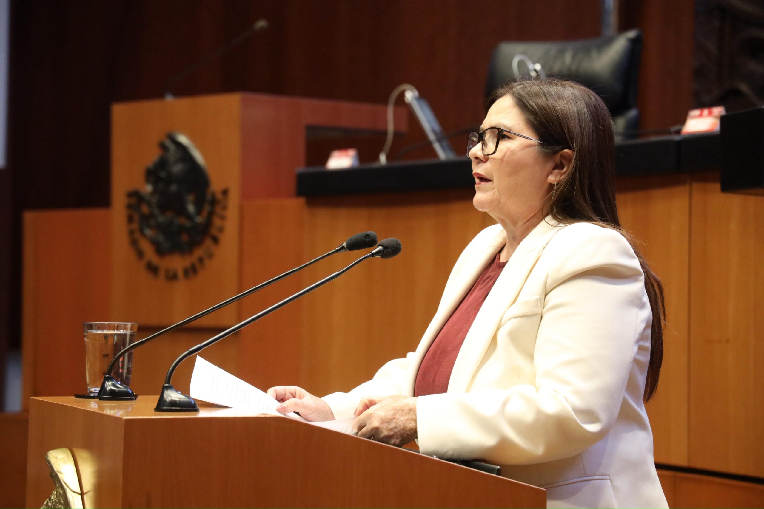 Lee más sobre el artículo «Mantener y fortalecer el IEPS sobre productos nocivos no solo tiene un sentido fiscal, sino también ético y humano”: Imelda Castro