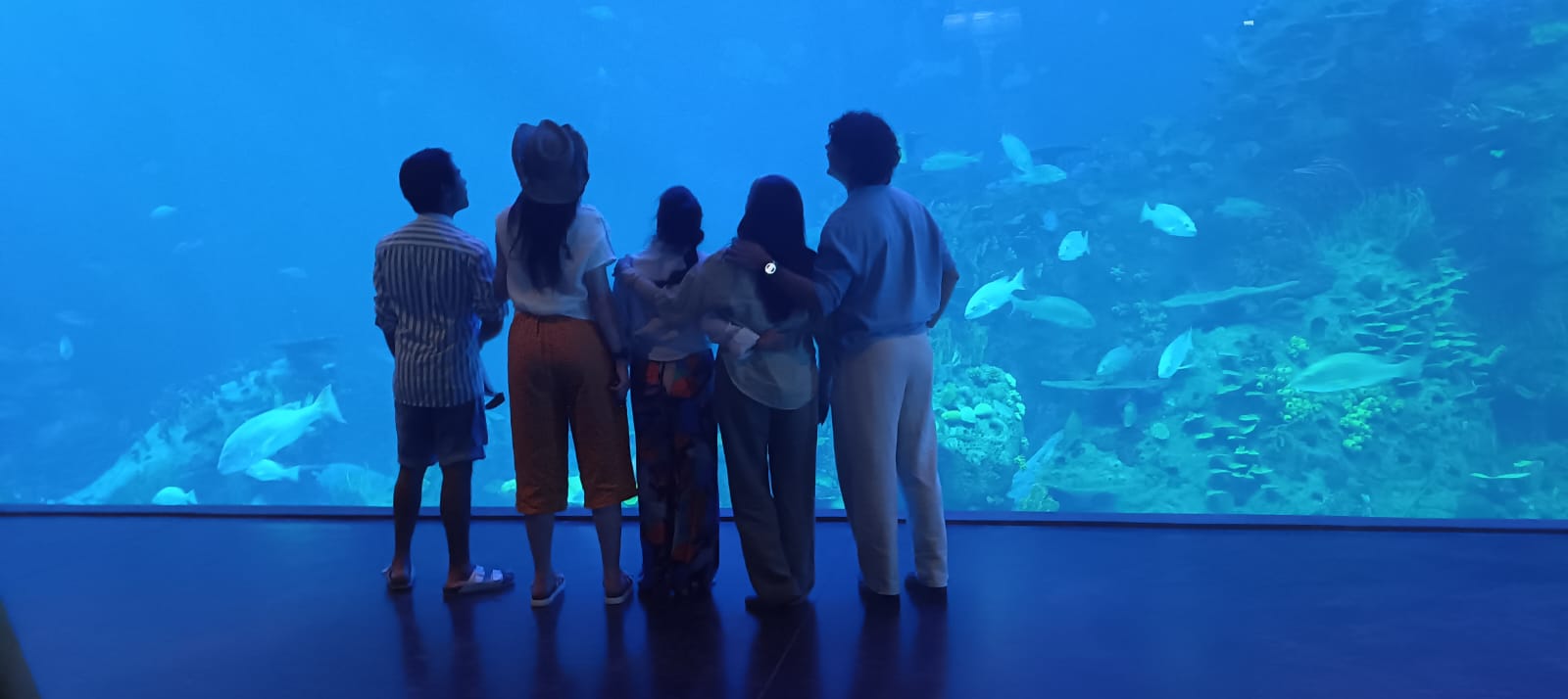 Lee más sobre el artículo Un 2026 Lleno de Novedades Proyecta Gran Acuario: Simon Norris