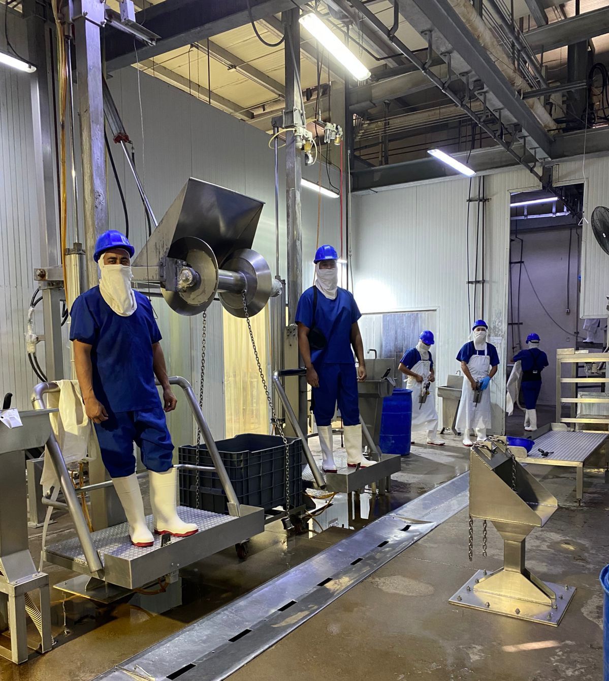 Lee más sobre el artículo Aumenta el Procesamiento de Porcinos y Bobinos en Rastro TIF de Mazatlán