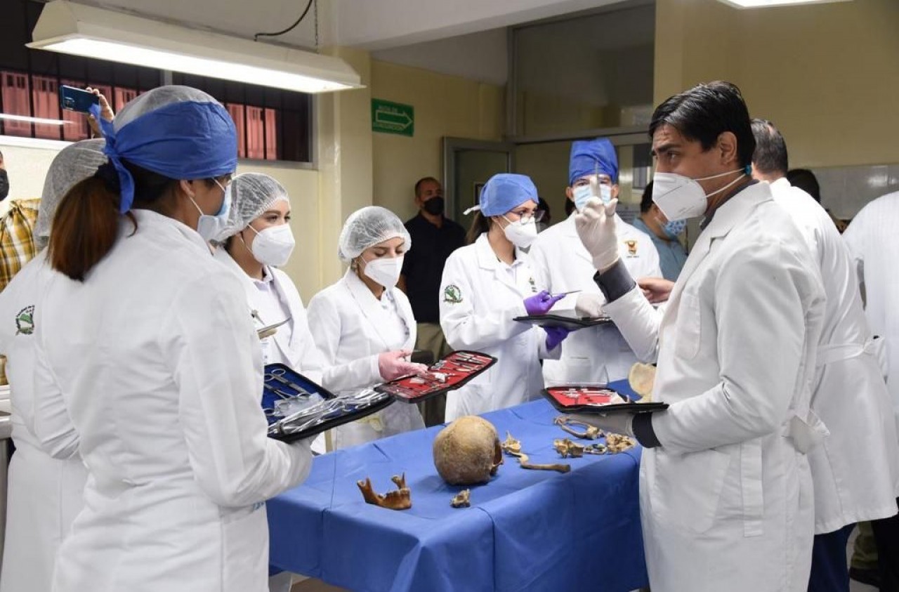 Lee más sobre el artículo La UAS Abre Cursos para Estudiantes que van a Carreras de Salud