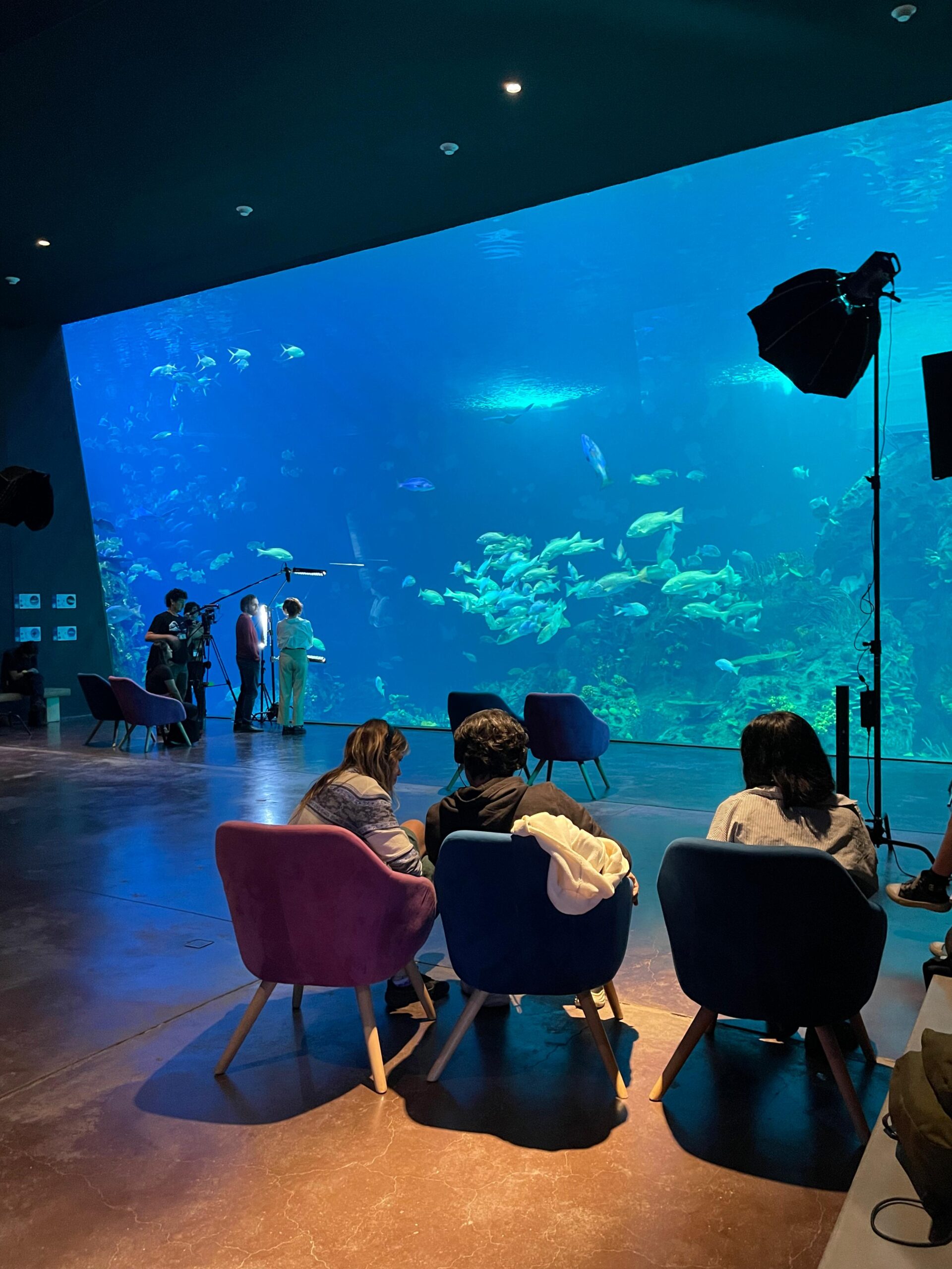 Lee más sobre el artículo Filman parte de la Película «Pimienta» en Gran Acuario Mazatlán