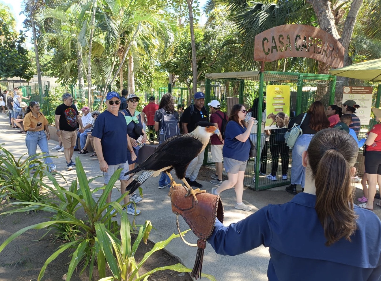 Lee más sobre el artículo Carnaval y Gran Acuario, la combinación perfecta
