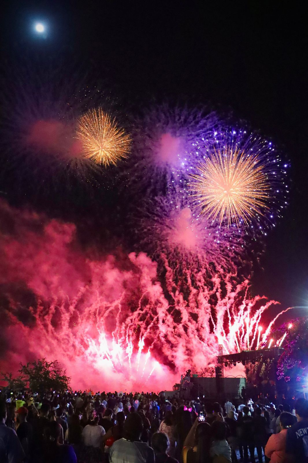 Lee más sobre el artículo Cierra el Carnaval de Rosario con Majestuoso Desfile