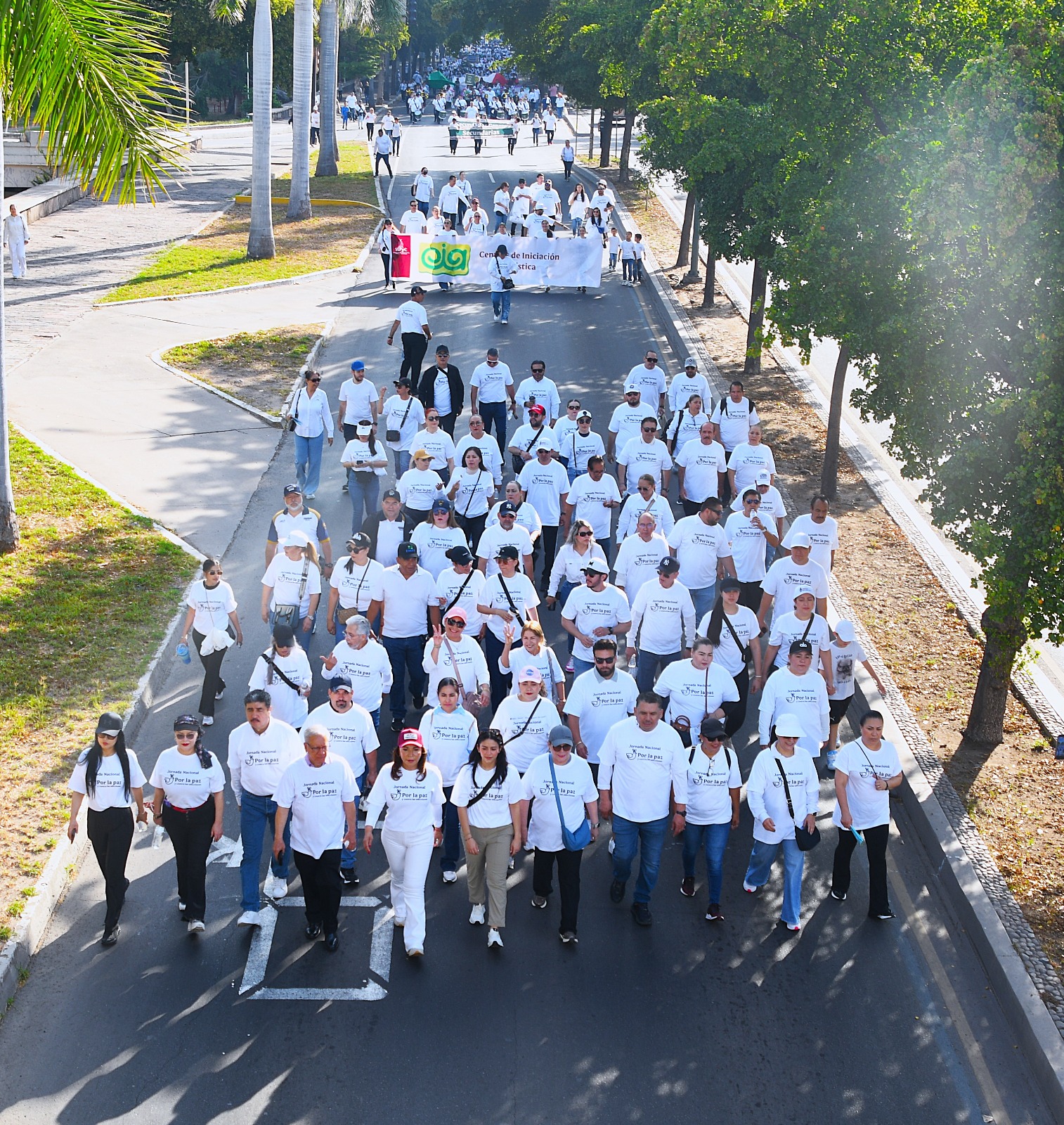 Más de 3 mil Estudiantes Sinaloenses en la Jornada Nacional por la Paz y Contra las Adicciones
