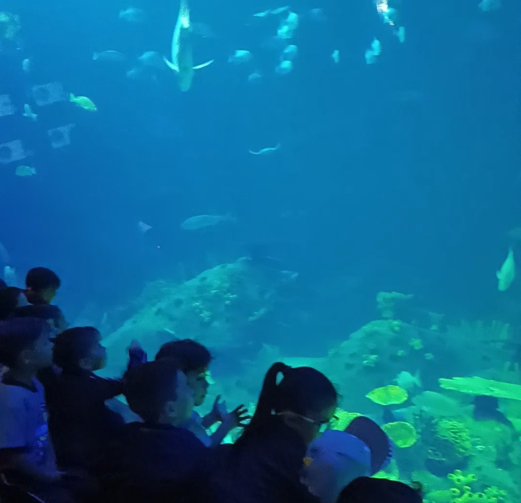 Gran Acuario Acerca a Familias con Grandes Promociones