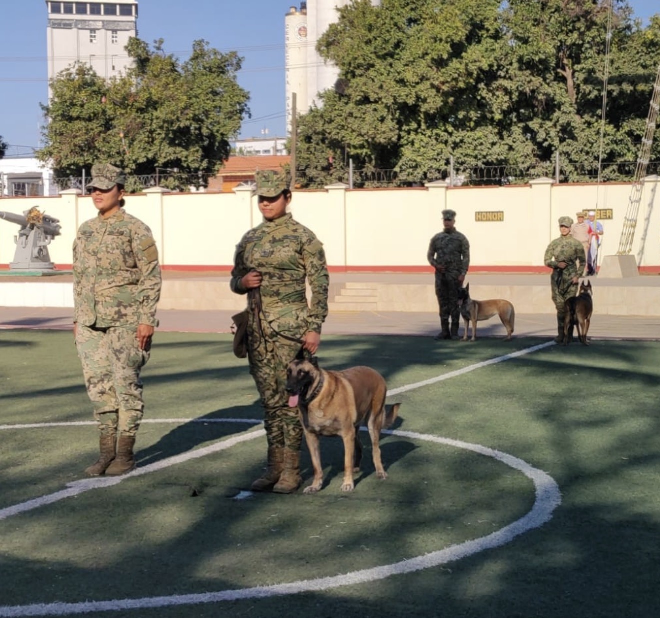 Lee más sobre el artículo Jubilan con honores  a “Gaia”, elemento canino