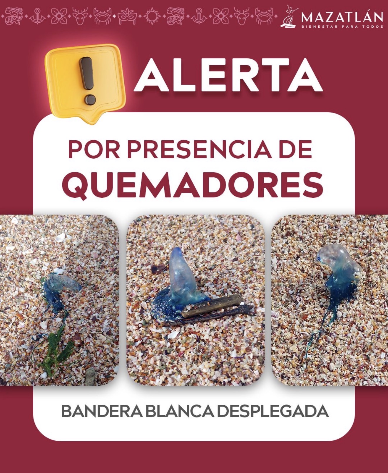 Lee más sobre el artículo Alertan por presencia de “quemadores” en playas de Mazatlán