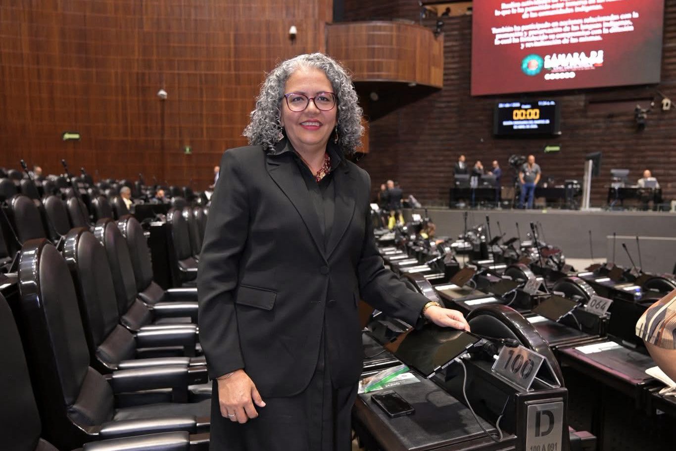 Lee más sobre el artículo Encabeza Graciela Domínguez, Gestión Ante CFE