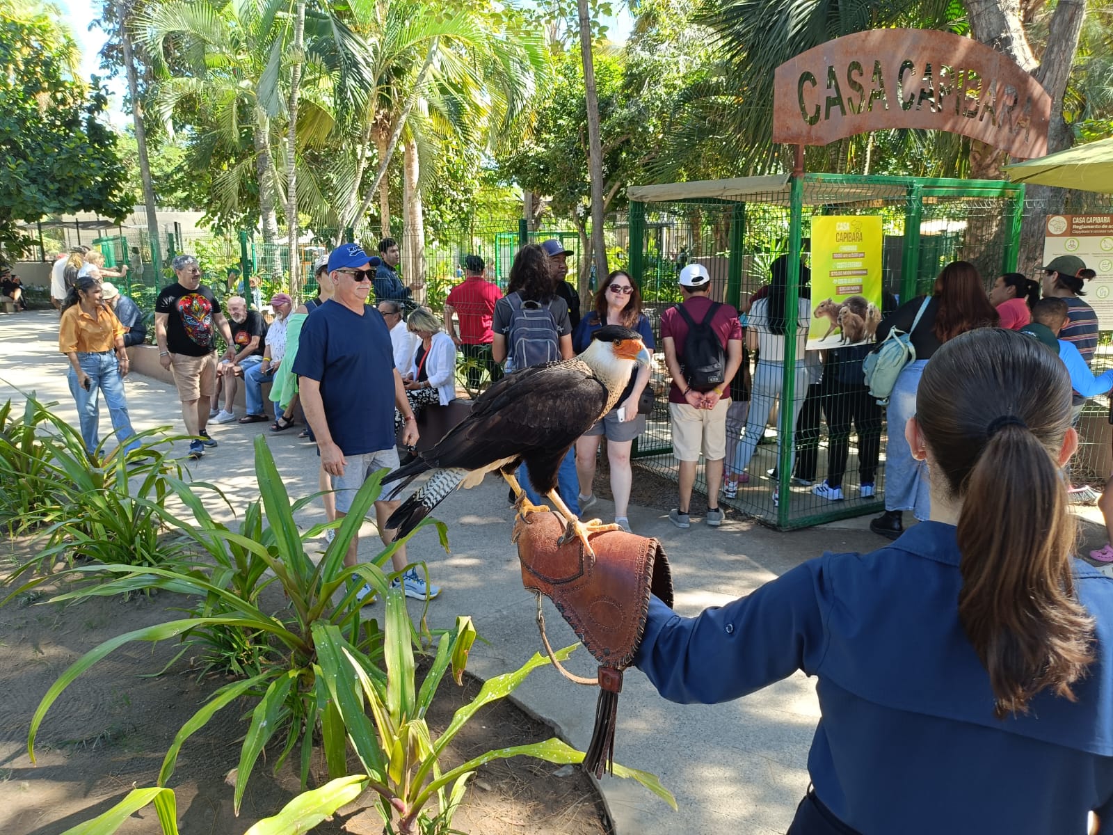 Lee más sobre el artículo El Gran Acuario Mazatlán Sorprende con Nuevas Experiencias
