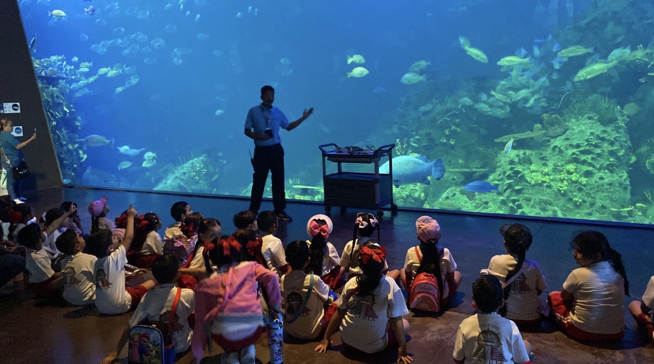 Lee más sobre el artículo En Gran Acuario Mazatlán te diviertes y aprendes a cuidar los océanos y sus especies marinas