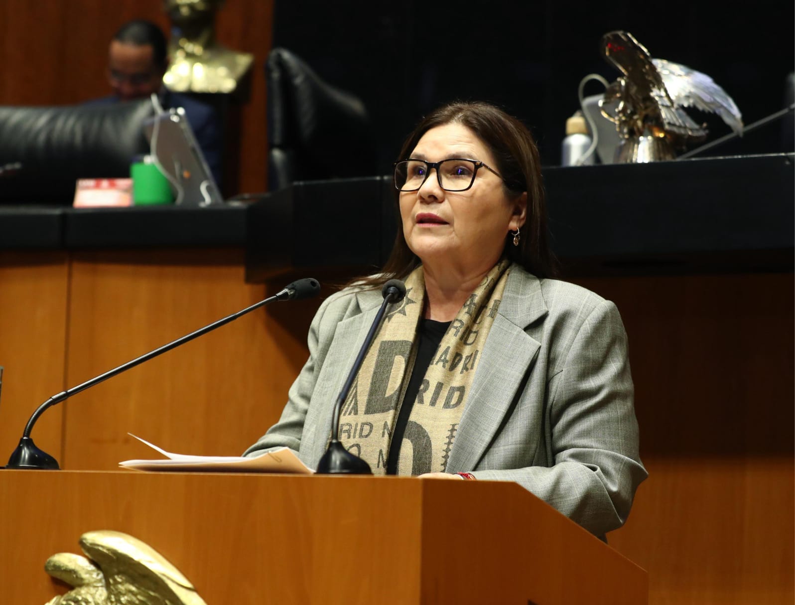 Lee más sobre el artículo «Reforma para elección del Poder Judicial facilitará la participación de la gente»: Imelda Castro
