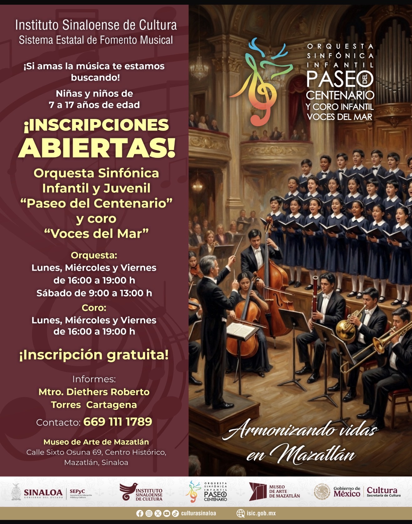 Lee más sobre el artículo Te interesa formar parte de una Orquesta Sinfónica
