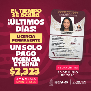 VOZ POPULI 300X300 (12)