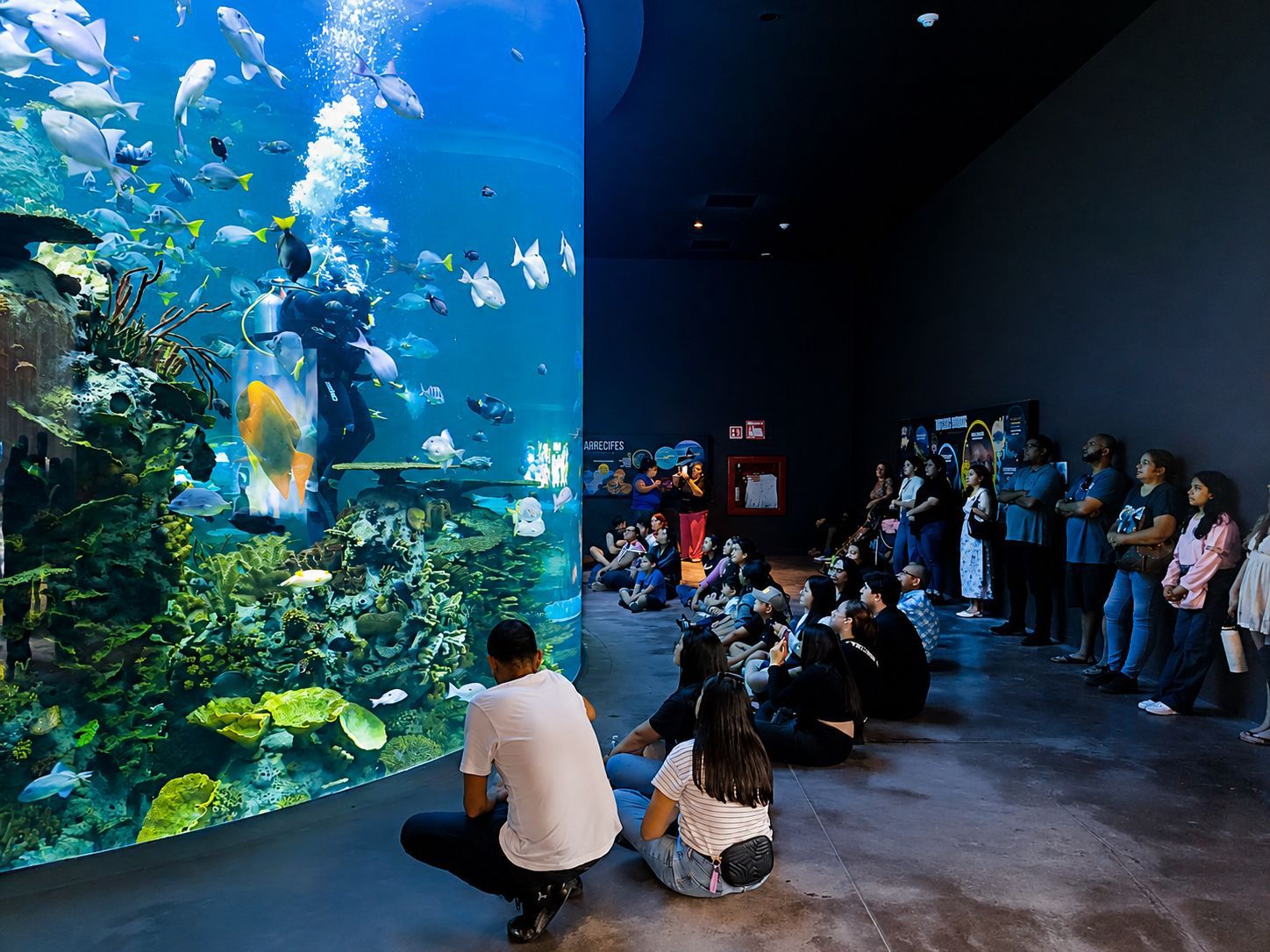 Lee más sobre el artículo Gran Acuario Mazatlán celebra 3 años