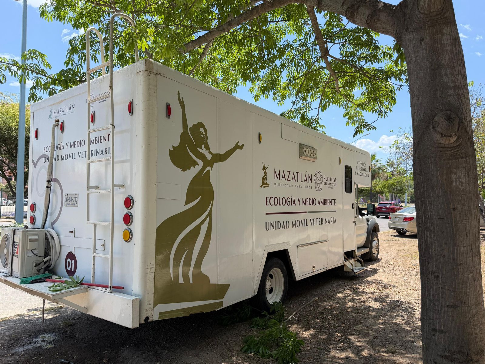 Mañana Llegará el Camión Esterilizador a Él Castillo