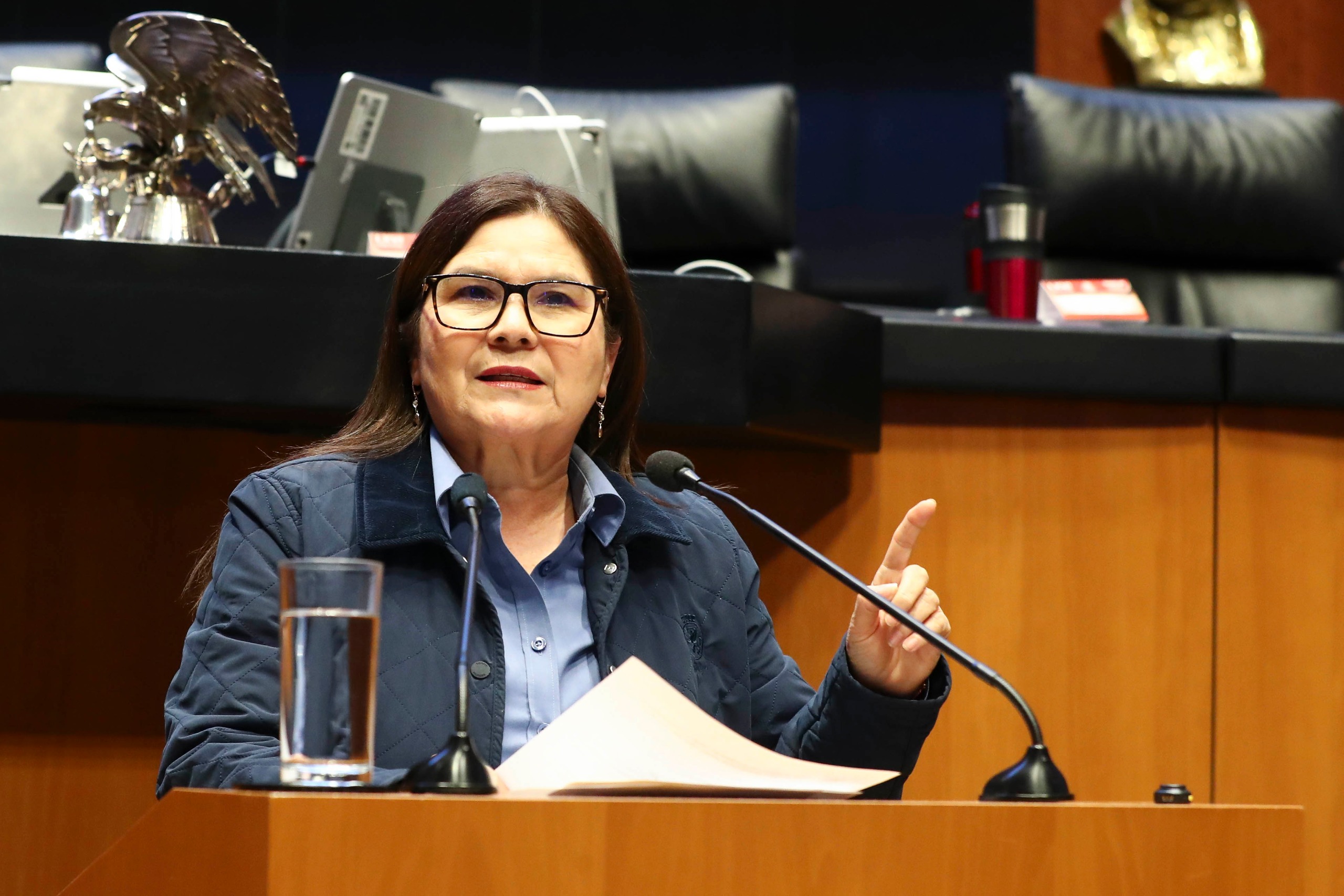 Imelda Castro Defiende Reforma que Anularía Elecciones para Proteger la Soberanía