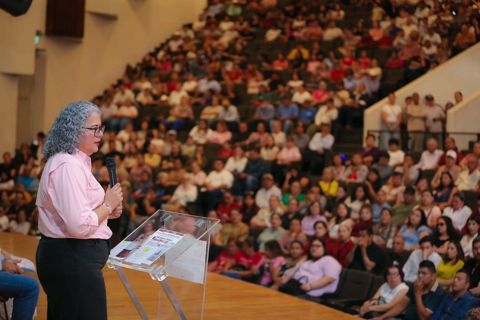 Solicita Licencia Graciela Domínguez Para Buscar la Coordinación de la 4T