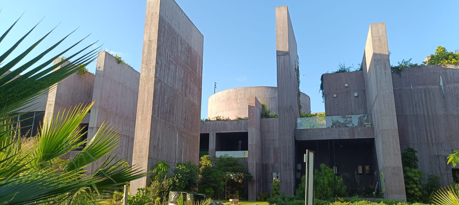 Arduo trabajo detrás del bienestar animal en Gran Acuario Mazatlán