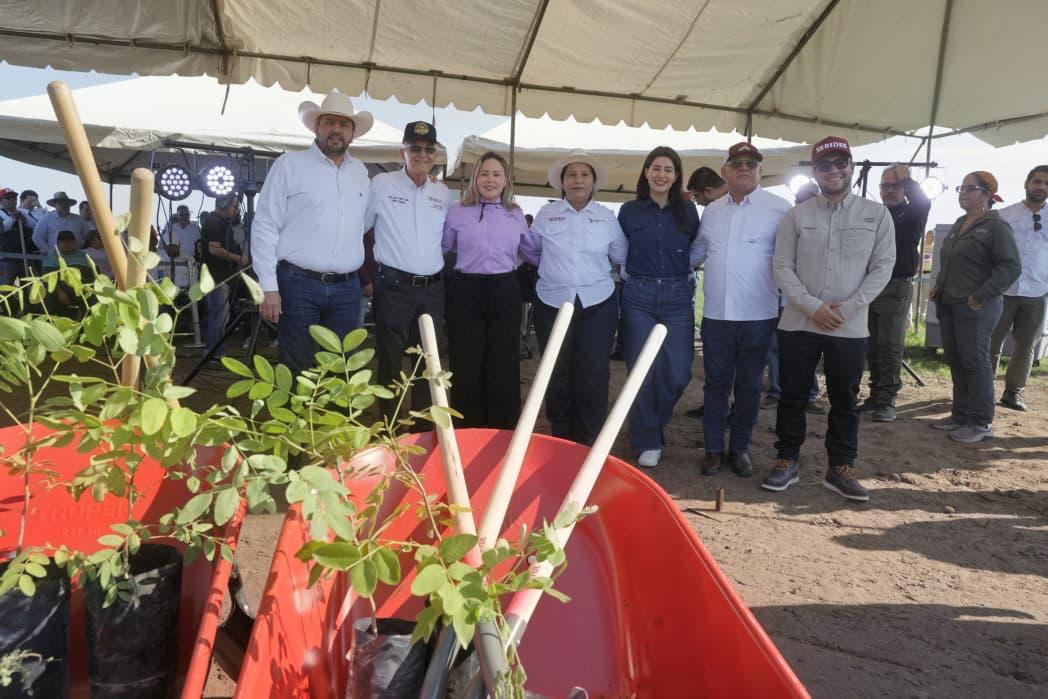 La Gobernadora Yeraldine Bonilla pone en marcha la Jornada Nacional de Reforestación