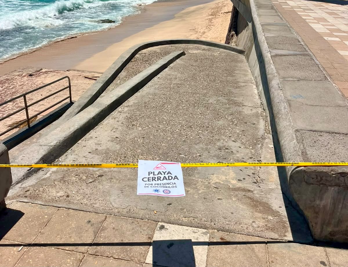 Cierran playas por presencia de Cocodrilo