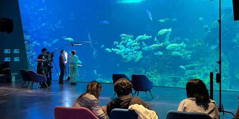 Filman parte de la Película «Pimienta» en Gran Acuario Mazatlán