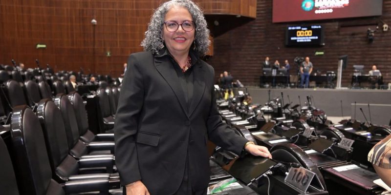 Encabeza Graciela Domínguez, Gestión Ante CFE