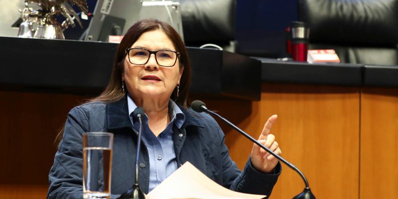 Imelda Castro Defiende Reforma que Anularía Elecciones para Proteger la Soberanía