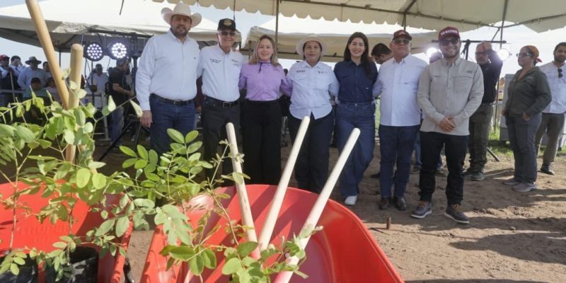 La Gobernadora Yeraldine Bonilla pone en marcha la Jornada Nacional de Reforestación