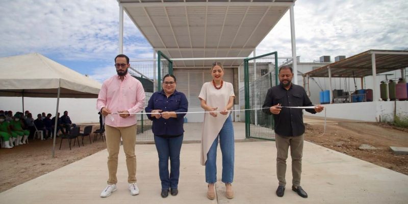 Mejoran el Rastro TIF de Mazatlán